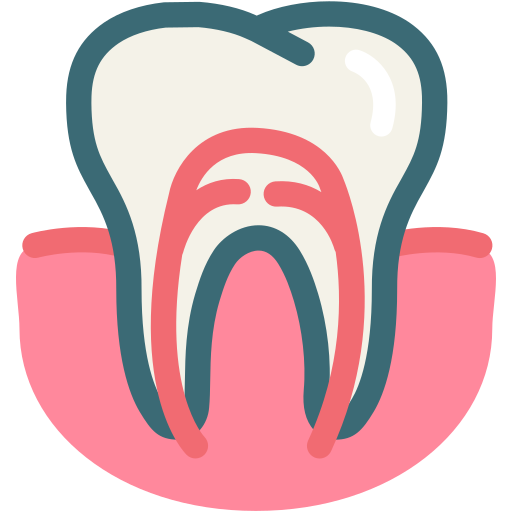 Dental, dentist, gum, gums tooth, root canal, tooth, dental treatment icon